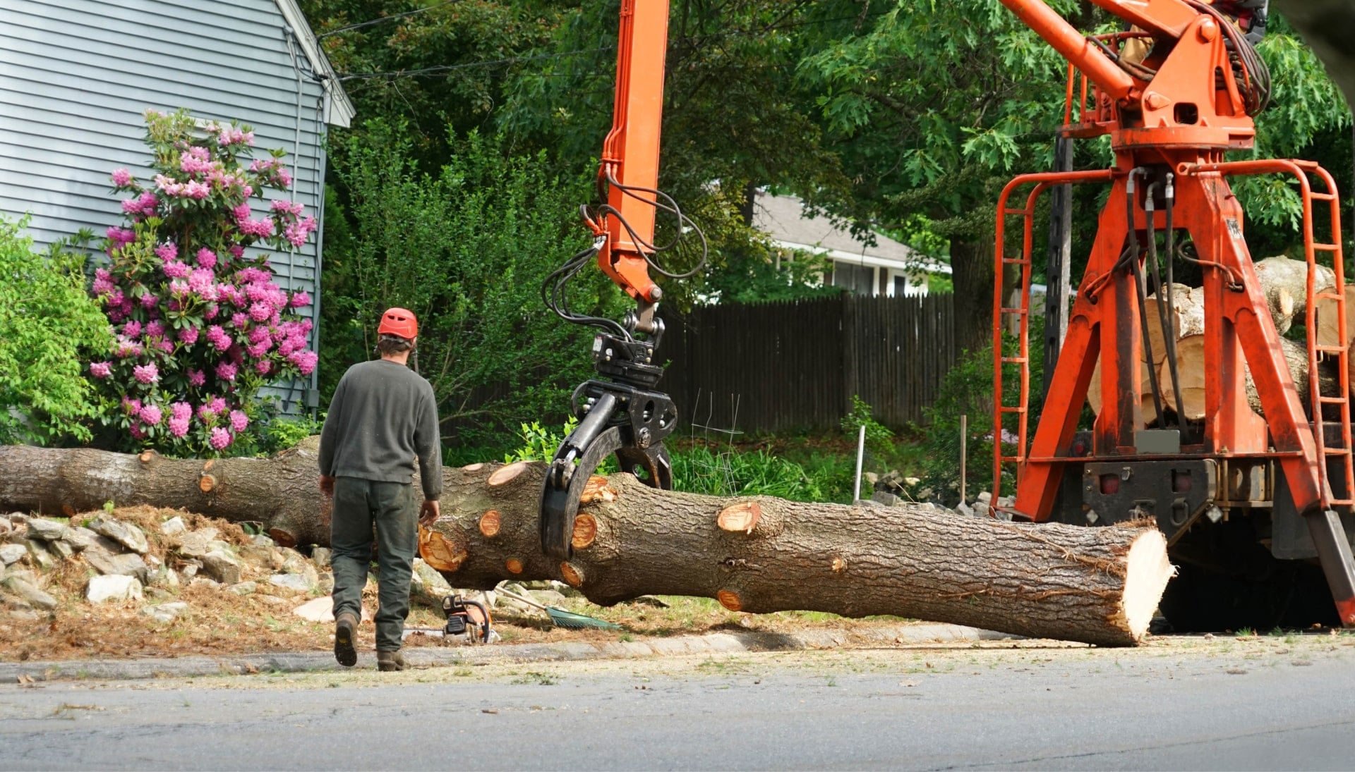 Local partner for Tree removal services in Iowa City